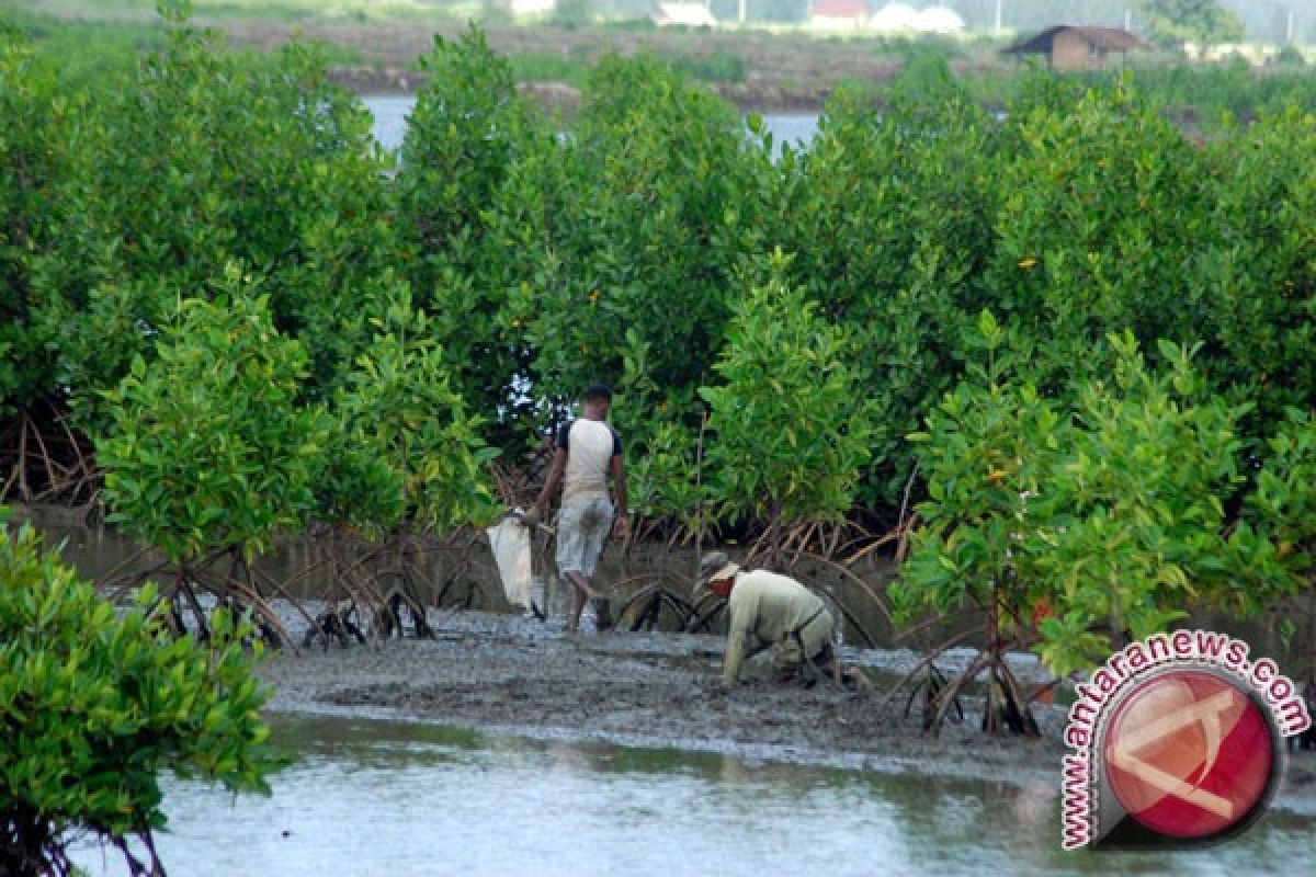 Taman Edukasi Mangrove Sedari, Pilihan Liburan Ramah Anak dan Alam